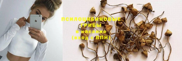прущий лед Армянск