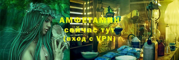 бошки Алексин